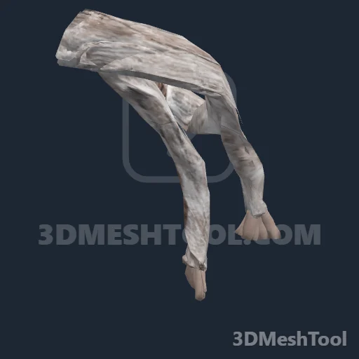 CLOTHING_ITEM_F_NECKWEAR_200: foto do modelo no RedM (RDR2)