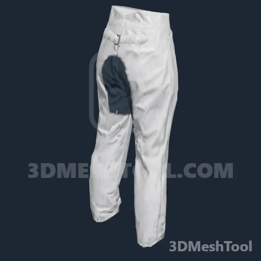 CLOTHING_ITEM_F_PANTS_200 - hash 0xA51A8AFD / 2769980157: foto no RedM (RDR2)