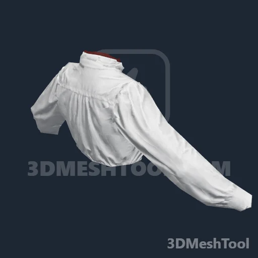CLOTHING_ITEM_F_SHIRT_004: foto do modelo no RedM (RDR2)