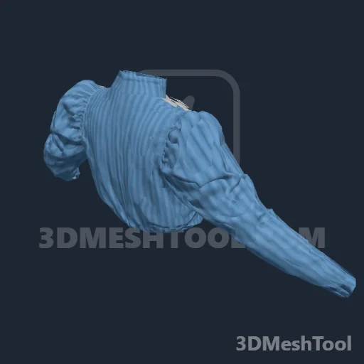 CLOTHING_ITEM_F_SHIRT_007: foto do modelo no RedM (RDR2)