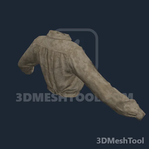CLOTHING_ITEM_F_SHIRT_008: foto do modelo no RedM (RDR2)