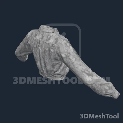 CLOTHING_ITEM_F_SHIRT_202: foto do modelo no RedM (RDR2)