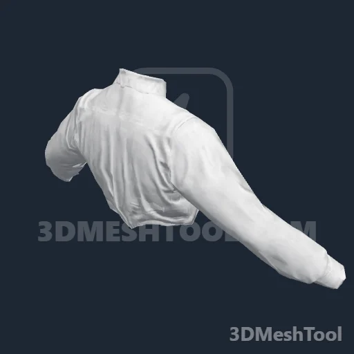 CLOTHING_ITEM_F_SONY_SHIRT_000 - hash 0x2CBEFF81 / 750714753: foto no RedM (RDR2)