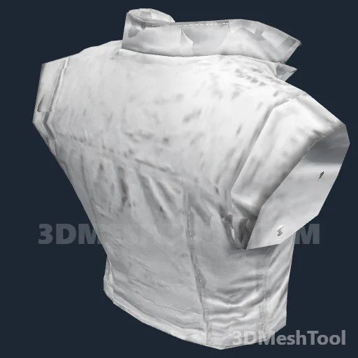 CLOTHING_ITEM_F_VEST_017 - hash 0x89940286 / 2308178566: foto no RedM (RDR2)