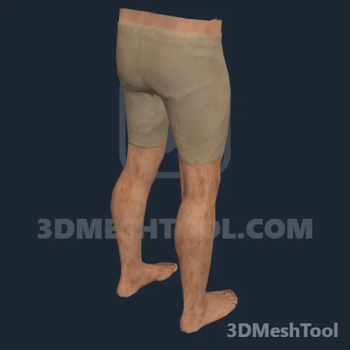CLOTHING_ITEM_M_BODIES_LOWER_002_V_004: foto do modelo no RedM (RDR2)