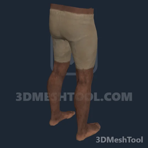 CLOTHING_ITEM_M_BODIES_LOWER_005_V_002: foto do modelo no RedM (RDR2)