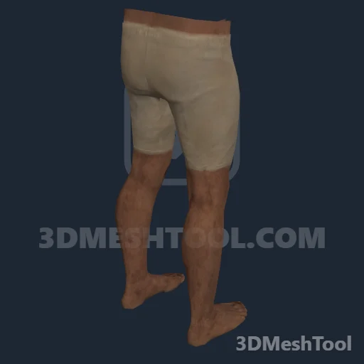CLOTHING_ITEM_M_BODIES_LOWER_005_V_005: foto do modelo no RedM (RDR2)