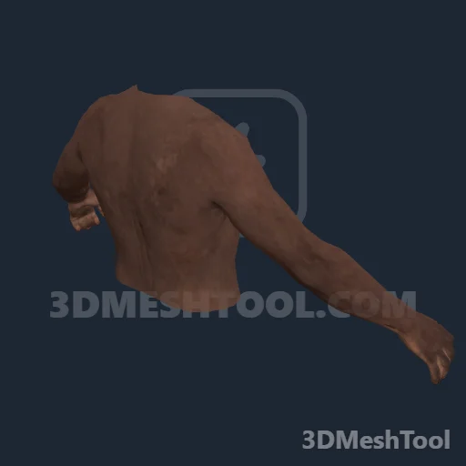 CLOTHING_ITEM_M_BODIES_UPPER_001_V_002: foto do modelo no RedM (RDR2)