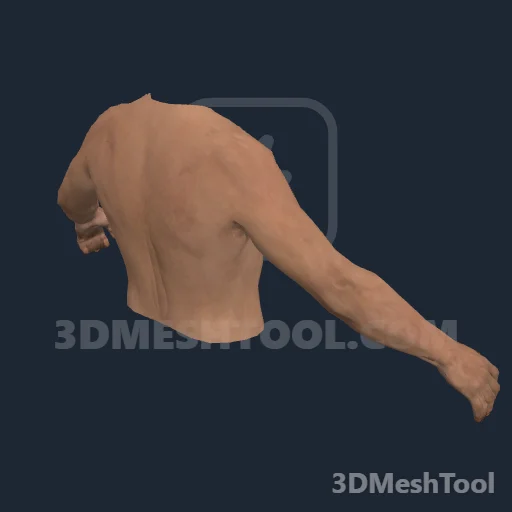 CLOTHING_ITEM_M_BODIES_UPPER_001_V_004: foto do modelo no RedM (RDR2)