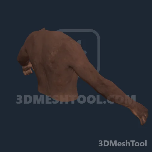 CLOTHING_ITEM_M_BODIES_UPPER_003_V_002 - hash 0x34C3B131 / 885240113: foto no RedM (RDR2)