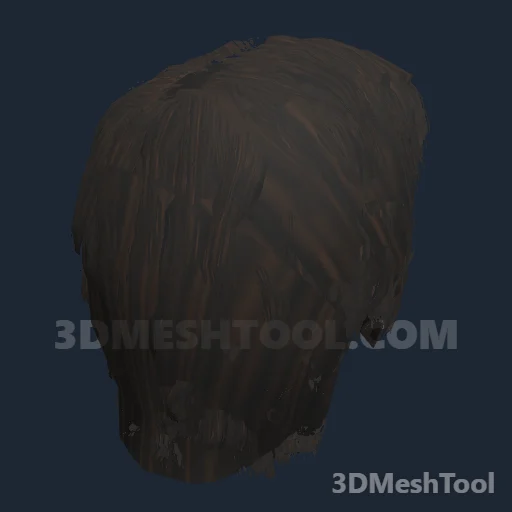 CLOTHING_ITEM_M_HAIR_001_DARKEST_BROWN - hash 0xE9E451CA / 3924054474: foto no RedM (RDR2)