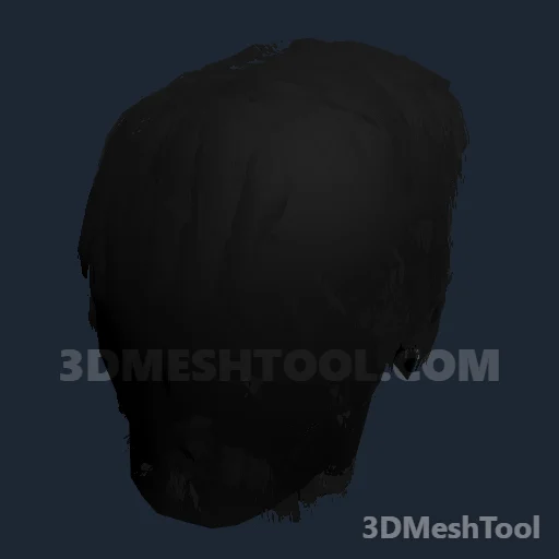 CLOTHING_ITEM_M_HAIR_001_JET_BLACK - hash 0x6E52C1EB / 1850917355: foto no RedM (RDR2)