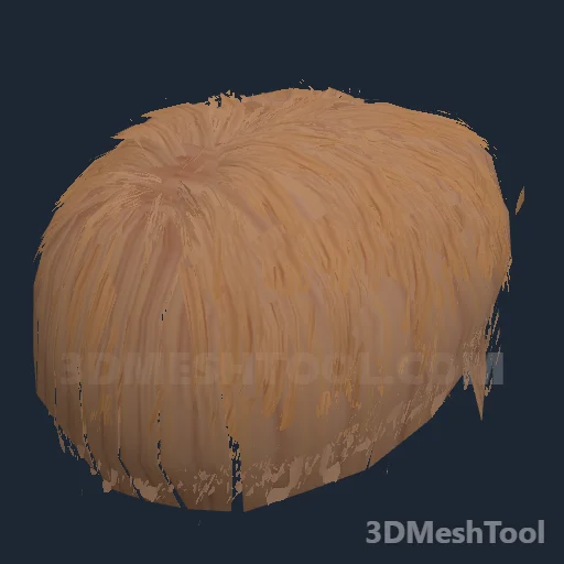 CLOTHING_ITEM_M_HAIR_006_STRAWBERRY_BLONDE - hash 0xDAFB8597 / 3673916823: foto no RedM (RDR2)