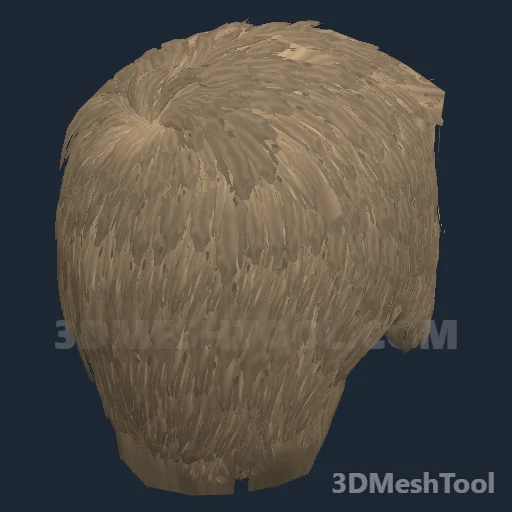 CLOTHING_ITEM_M_HAIR_007_LIGHT_BLONDE - hash 0x9D52D2E9 / 2639450857: foto no RedM (RDR2)
