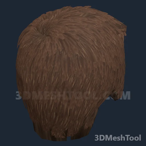 CLOTHING_ITEM_M_HAIR_007_LIGHT_BROWN - hash 0xF36D7039 / 4084035641: foto no RedM (RDR2)