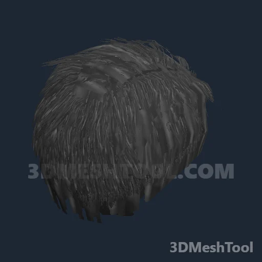 CLOTHING_ITEM_M_HAIR_009_DARK_GREY - hash 0xAA14FEDF / 2853502687: foto no RedM (RDR2)