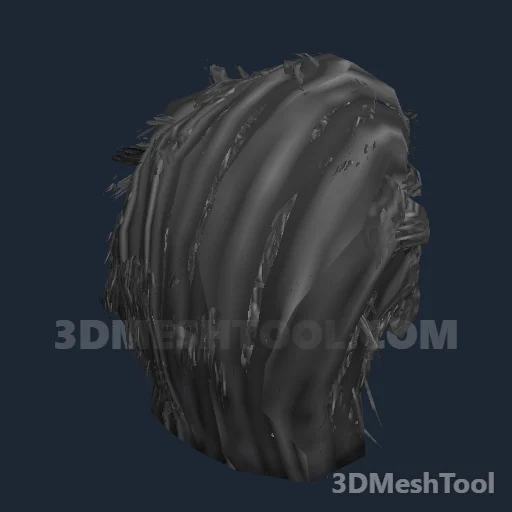 CLOTHING_ITEM_M_HAIR_012_SALT_PEPPER - hash 0xB573A56F / 3044255087: foto no RedM (RDR2)
