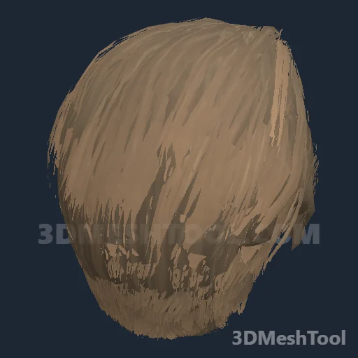 CLOTHING_ITEM_M_HAIR_028_BLONDE - hash 0x584046AC / 1480607404: foto no RedM (RDR2)