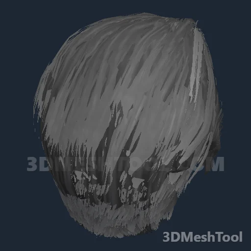 CLOTHING_ITEM_M_HAIR_028_GREY - hash 0x07F27B38 / 133331768: foto no RedM (RDR2)
