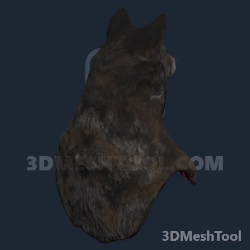 CLOTHING_ITEM_M_HAT_228_COYOTE_VAR_003 - hash 0x50189014 / 1343787028: foto no RedM (RDR2)