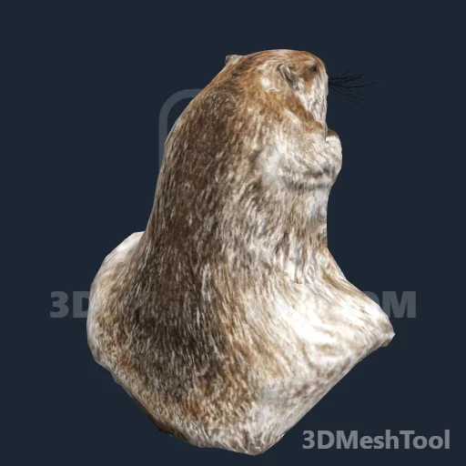 CLOTHING_ITEM_M_HAT_232_BEAVER_VAR_001: foto do modelo no RedM (RDR2)