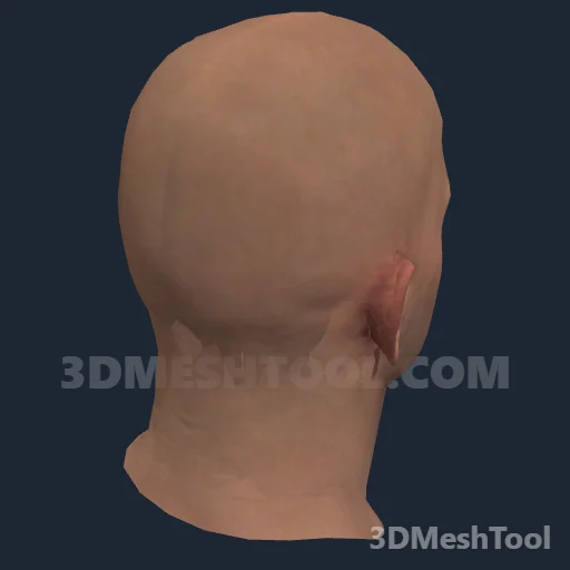 CLOTHING_ITEM_M_HEAD_001_V_003: foto do modelo no RedM (RDR2)