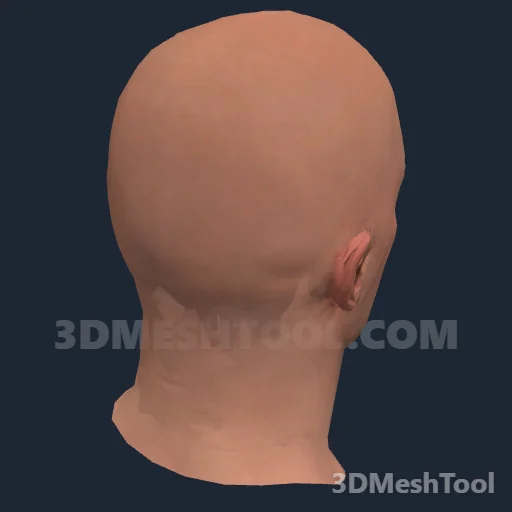 CLOTHING_ITEM_M_HEAD_008_V_001: foto do modelo no RedM (RDR2)