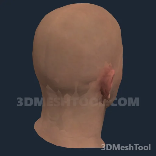 CLOTHING_ITEM_M_HEAD_011_V_003 - hash 0x93C69313 / 2479264531: foto no RedM (RDR2)