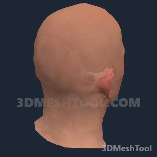 CLOTHING_ITEM_M_HEAD_022_V_001 - hash 0xE79A7372 / 3885658994: foto no RedM (RDR2)