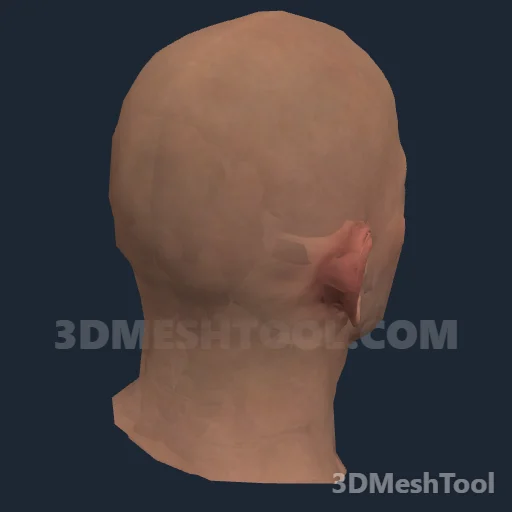 CLOTHING_ITEM_M_HEAD_022_V_003: foto do modelo no RedM (RDR2)