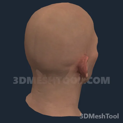 CLOTHING_ITEM_M_HEAD_025_V_003 - hash 0x9D604053 / 2640330835: foto no RedM (RDR2)