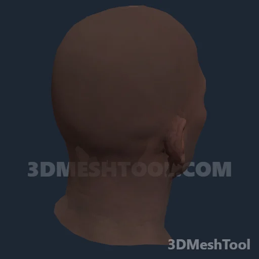 CLOTHING_ITEM_M_HEAD_025_V_006 - hash 0x5248AA25 / 1380493861: foto no RedM (RDR2)