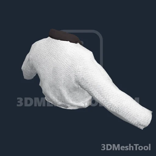 CLOTHING_ITEM_M_SHIRT_205 - hash 0xBCE74847 / 3169273927: foto no RedM (RDR2)