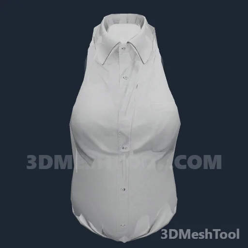 Camiseta de baixo ID 38 (feminino) (ACCS 38): foto no GTA V