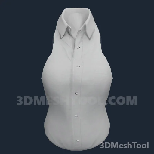 Camiseta de baixo ID 39 (feminino) (ACCS 39): foto no GTA V