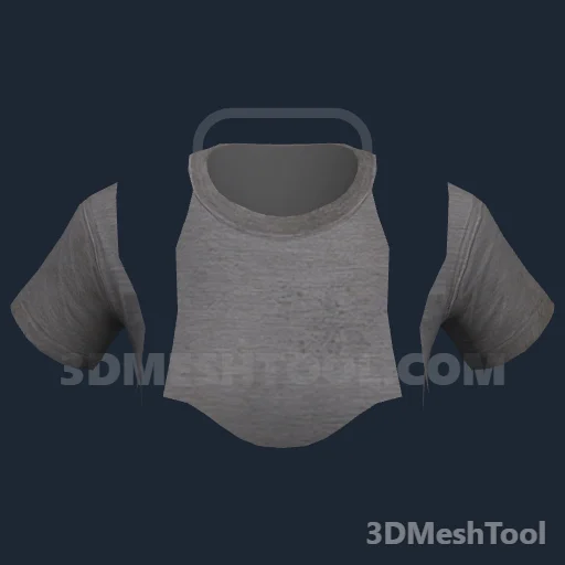 Camiseta de baixo ID 90 (feminino) (ACCS 90): foto no GTA V