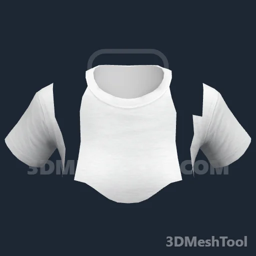 Camiseta de baixo ID 94 (feminino) (ACCS 94): foto no GTA V