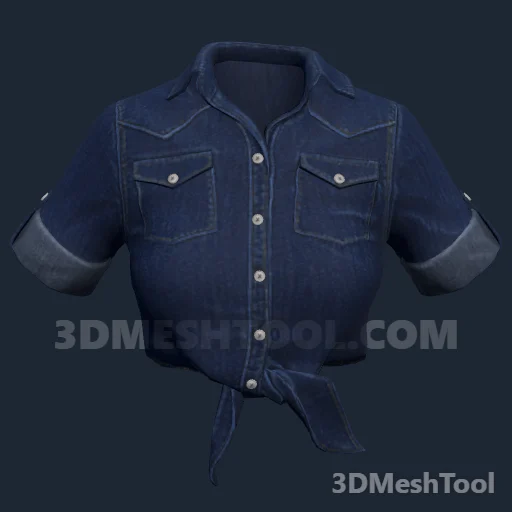 Camisa e jaqueta ID 171 (feminino) (JBIB 171): foto no GTA V