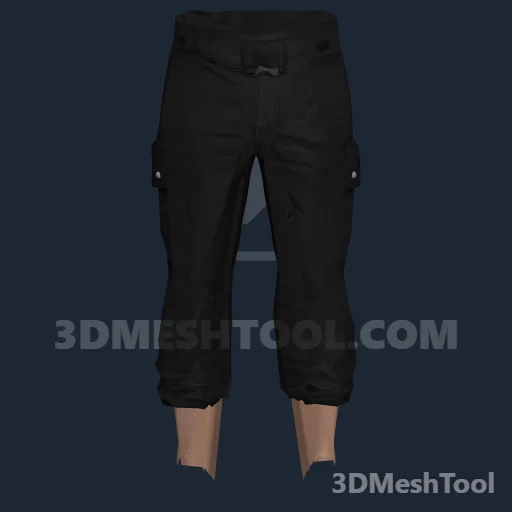 Calça ID 30 (feminino) (LOWR 30): foto no GTA V