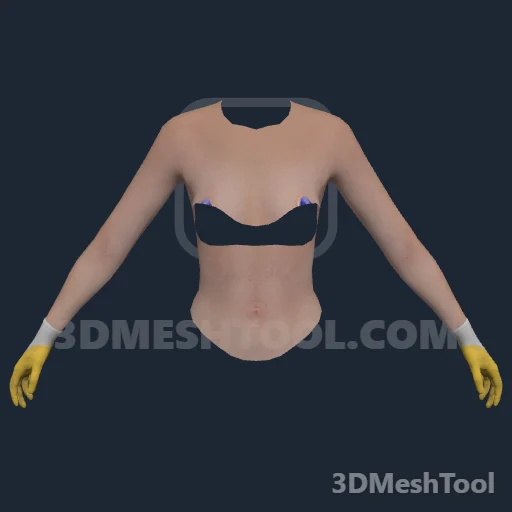 Braços e luvas ID 76 (feminino) (UPPR 76): foto no GTA V