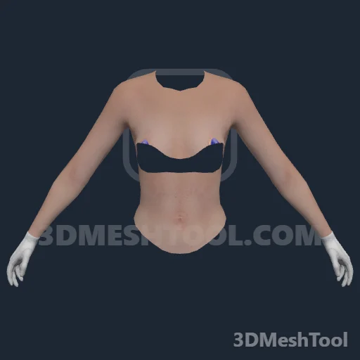 Braços e luvas ID 89 (feminino) (UPPR 89): foto no GTA V