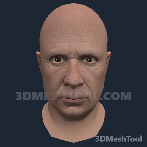Rosto · ID 13: foto do modelo no GTA V